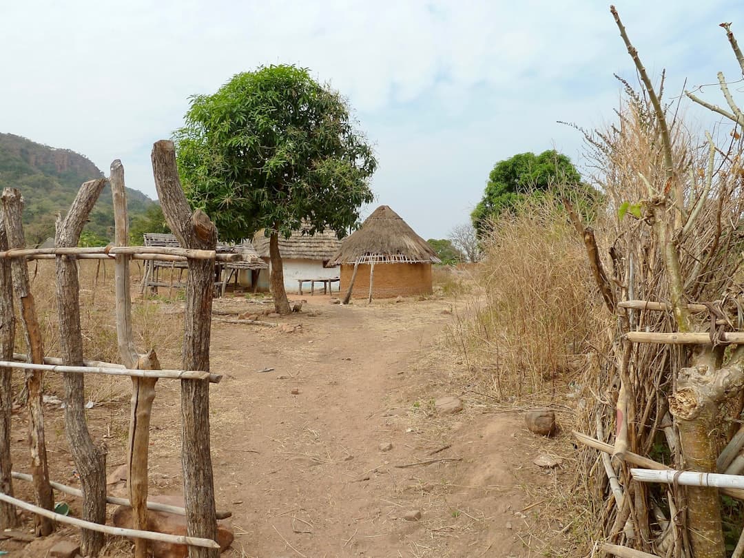 Buying Land in Kenya While Living Abroad